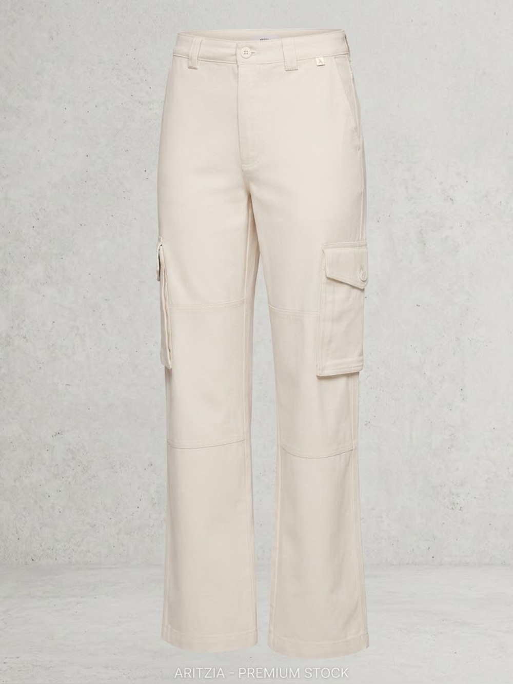 NWT - Tna Aritzia Troop Cargo Pant - GD Matte Pearl - Size 6